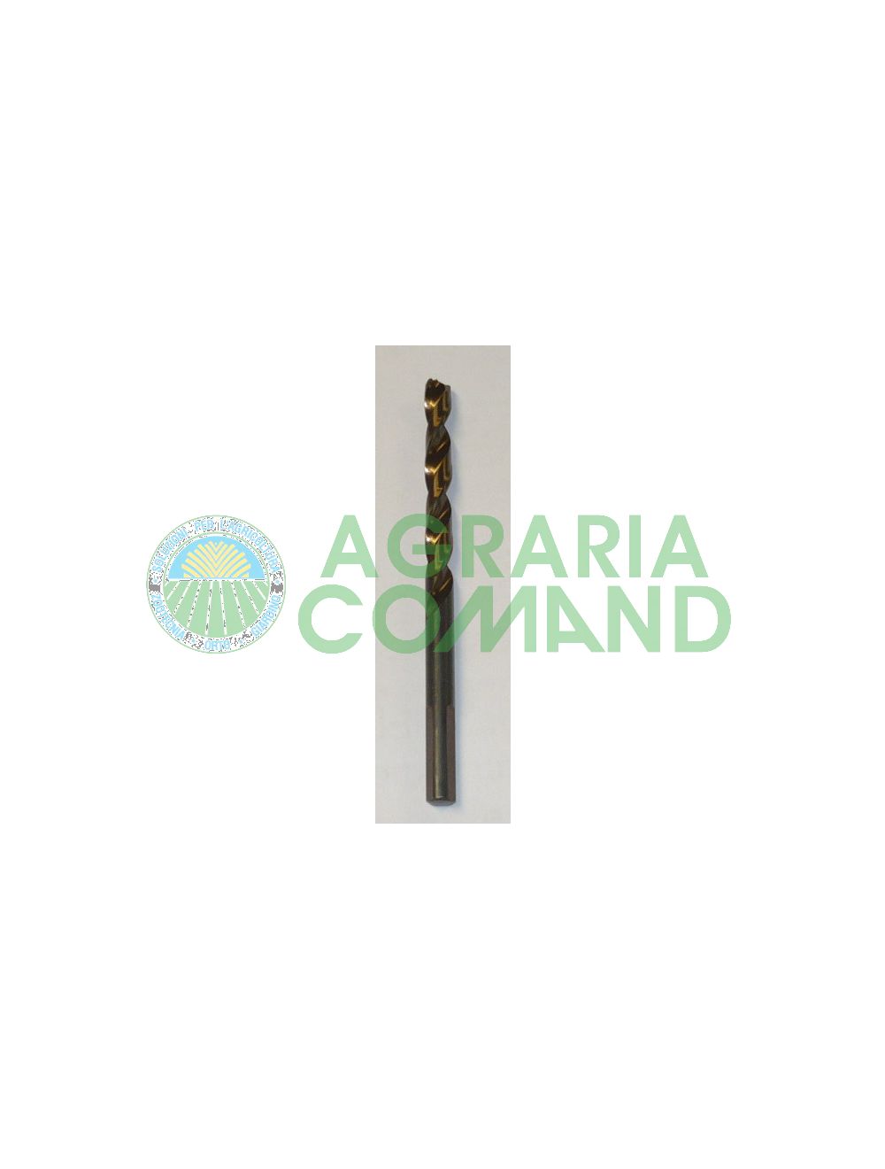 Punta 5,5 mm Punta 5,5 mm