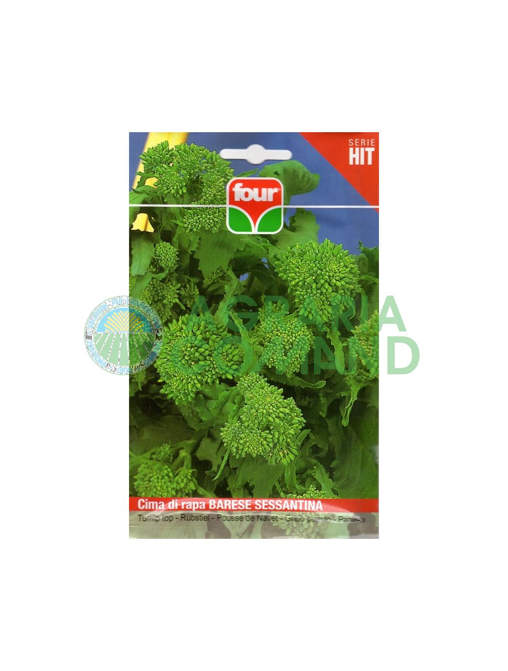 Seme di cima di rapa Barese Sessantina Seme di cima di rapa Barese Sessantina