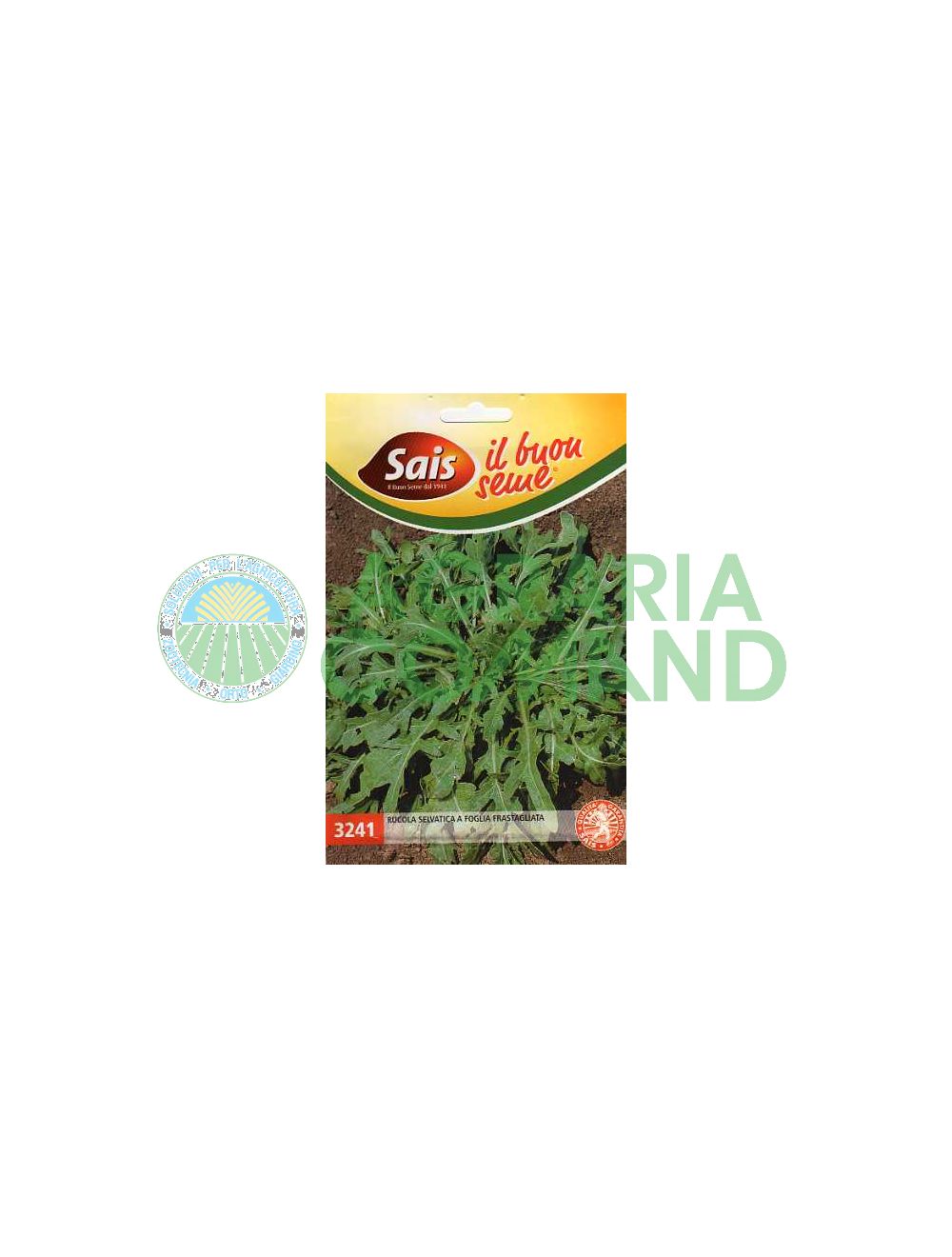 Rucola selvatica Rucola selvatica