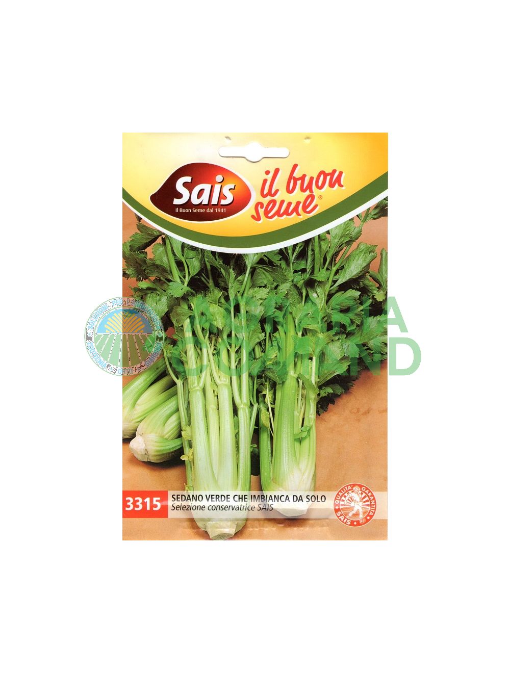 Seme sedano che imbianca da solo Seme sedano che imbianca da solo