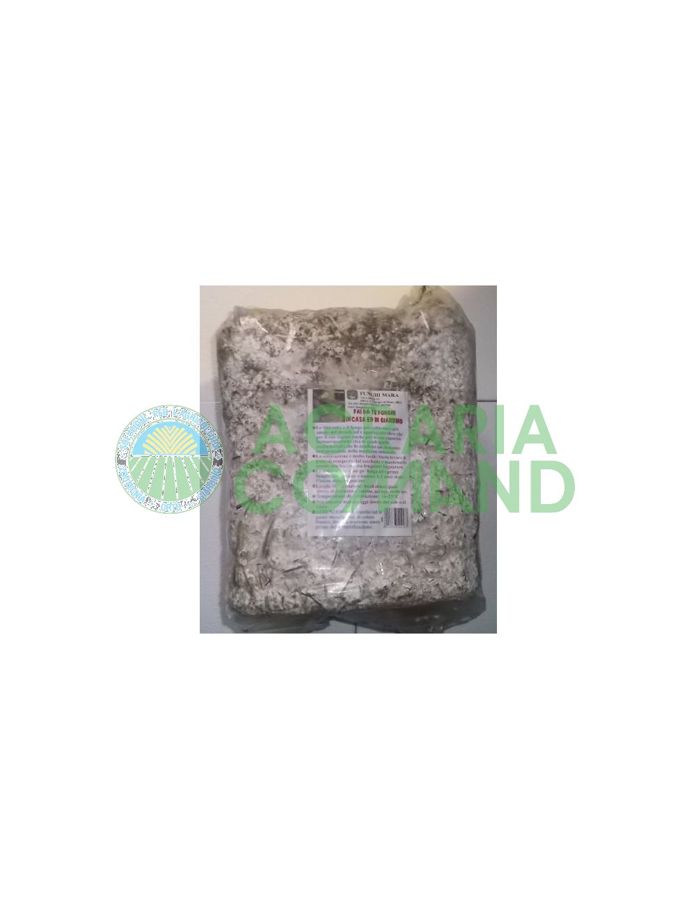 balla funghi shii take