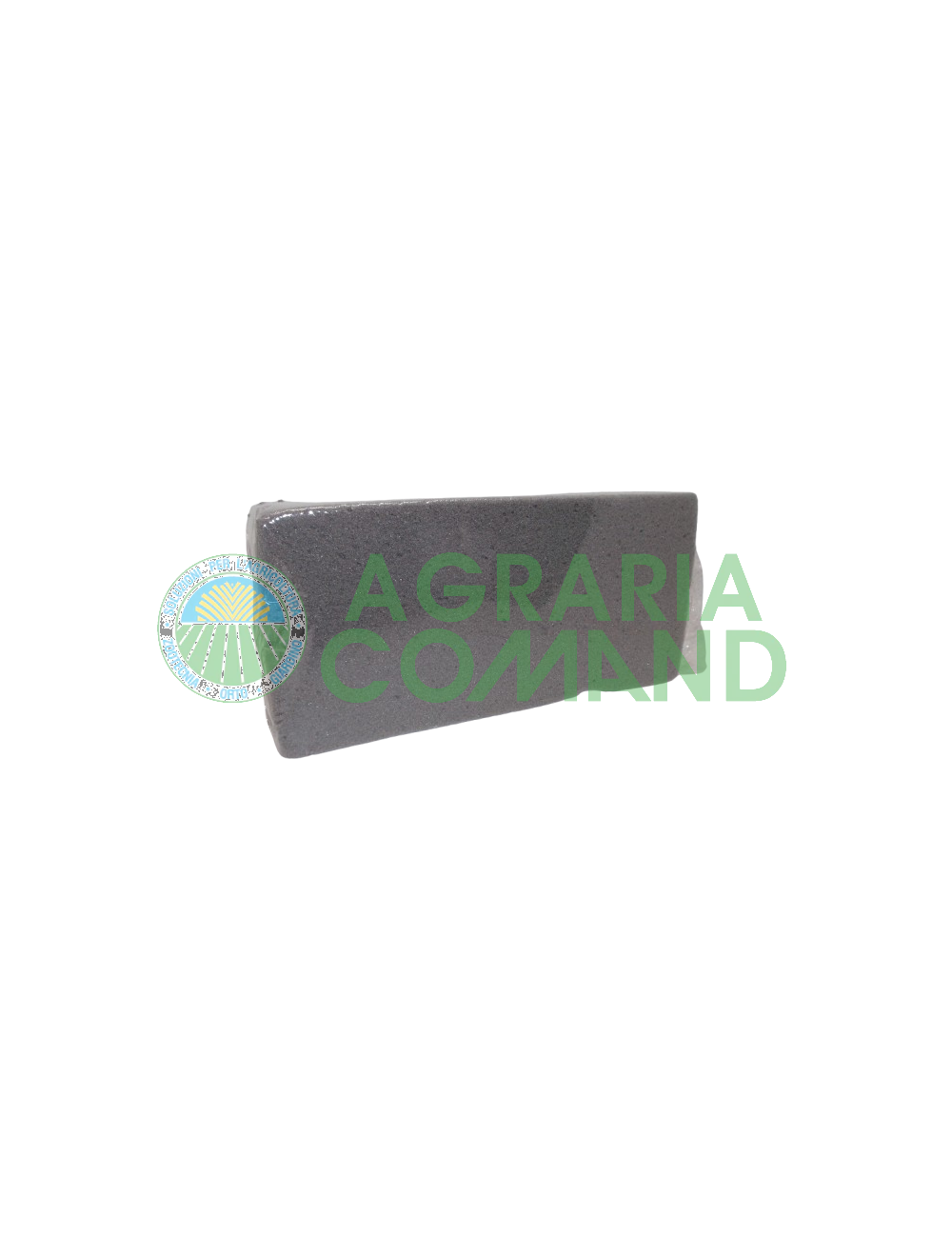 Spugna per fiori secchi Spugna per fiori secchi