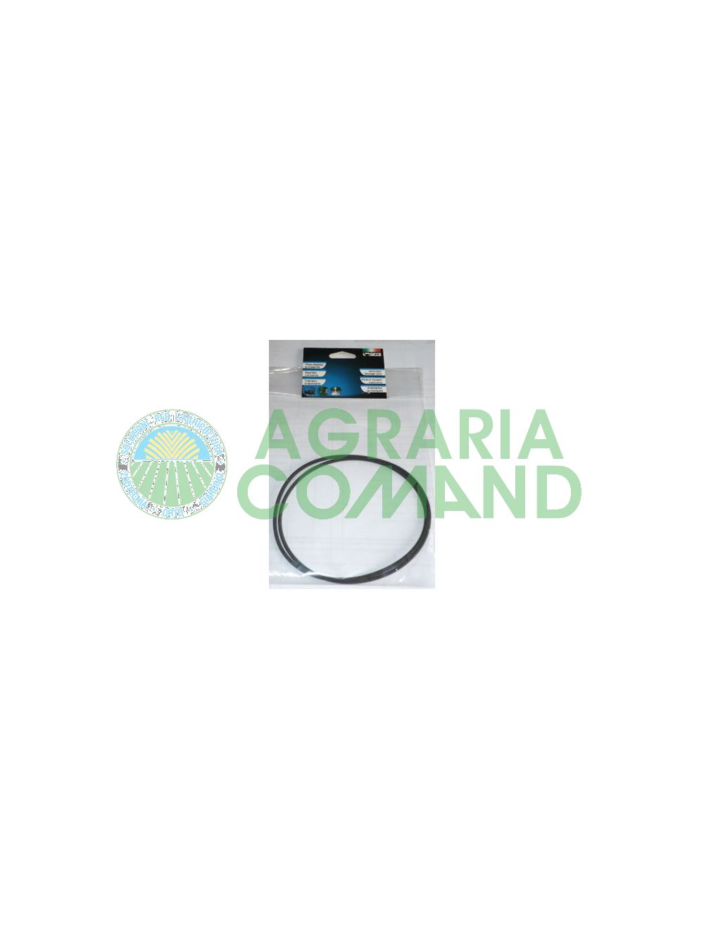 o ring filtro Green Reset 25 40 Sicce