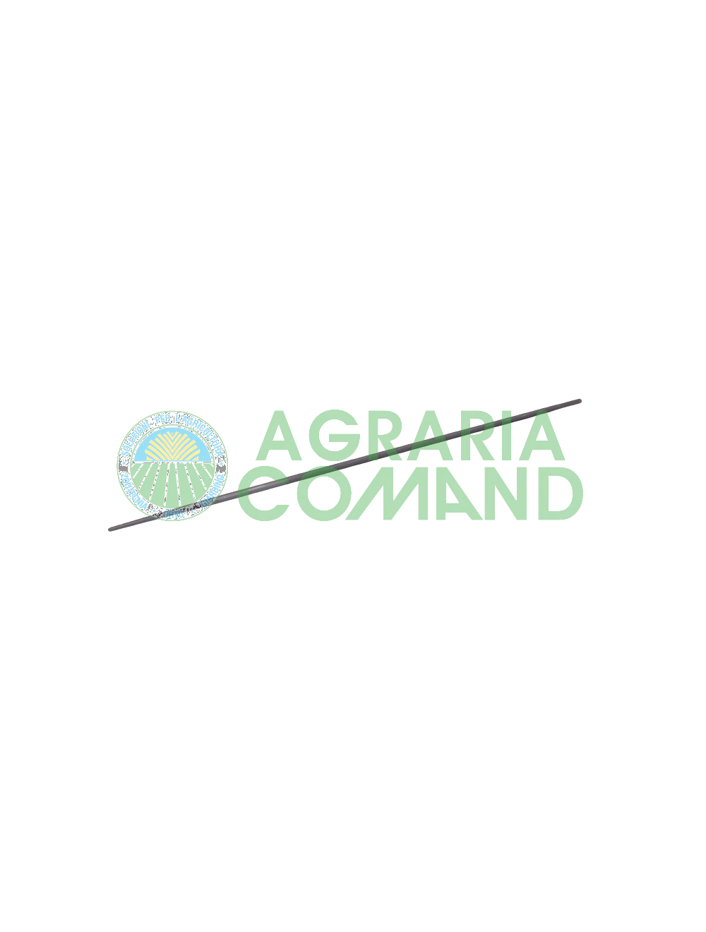 Tondino lima per catena Tondino lima per catena