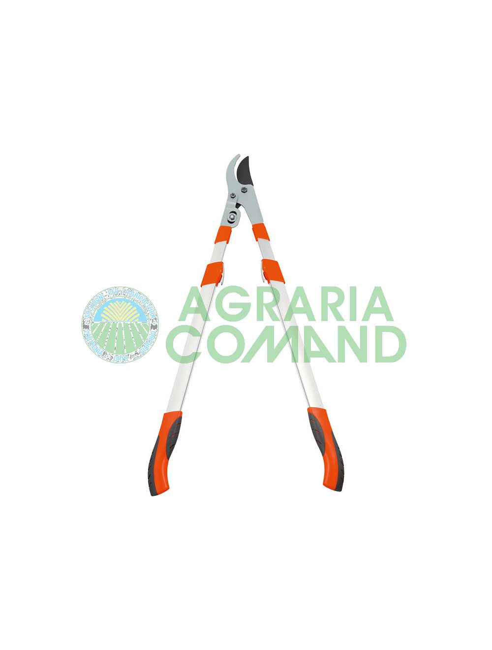 Troncarami_taglio_bypass_2094 Troncarami_taglio_bypass_2094