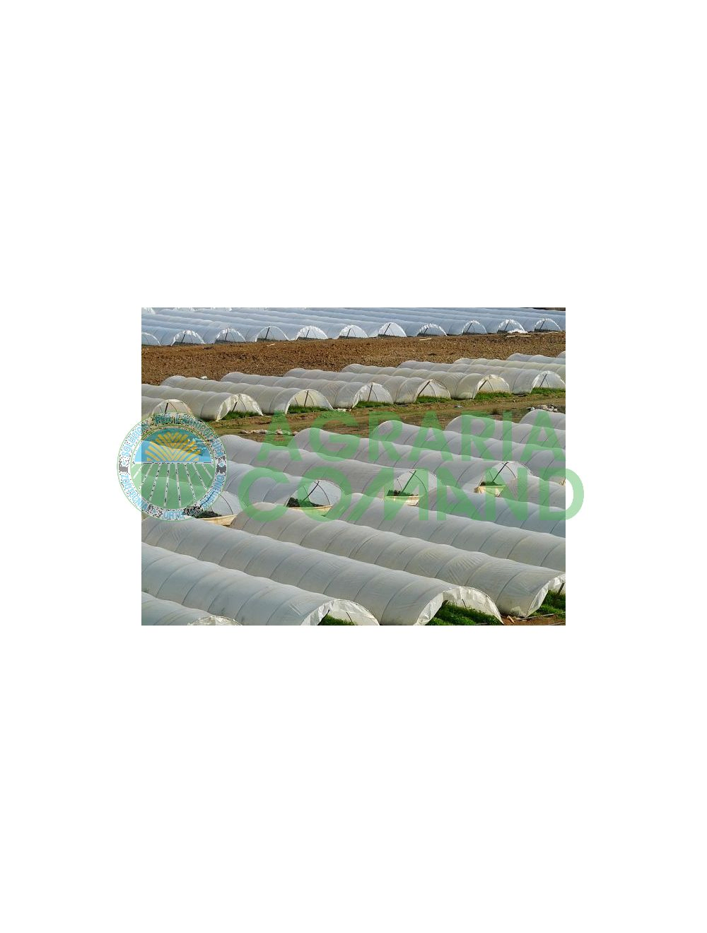 Telo telone polietilene Additivata A12 per Serra Tunnel 3 Strati Neutro Trasparente UV4 Foglia Professionale Agricoltura Larghezza 10,00 MT (50