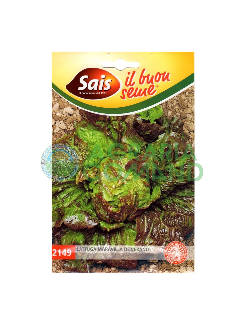 Lattuga meravilla de verano