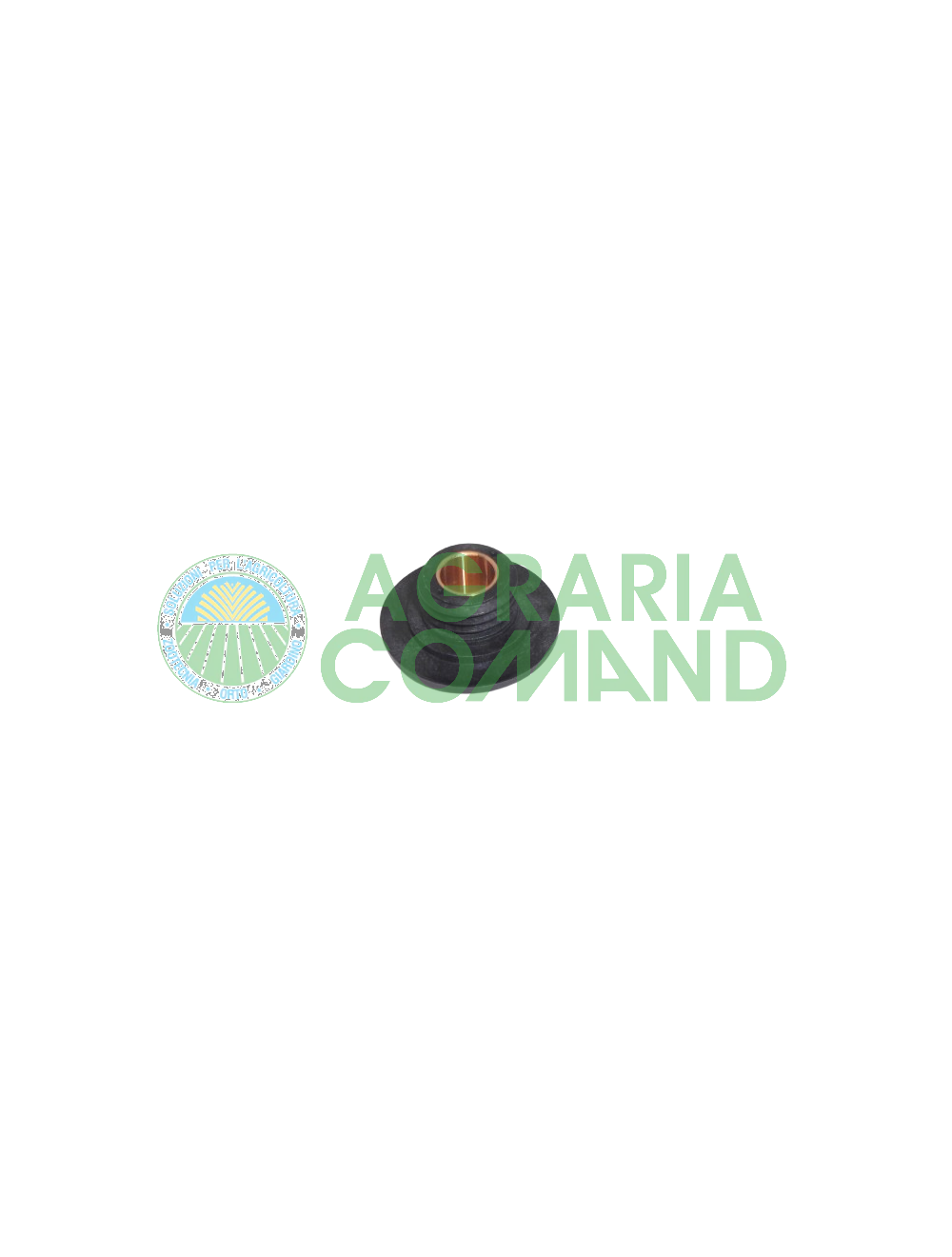 Vite senza fine pompa olio Walbro