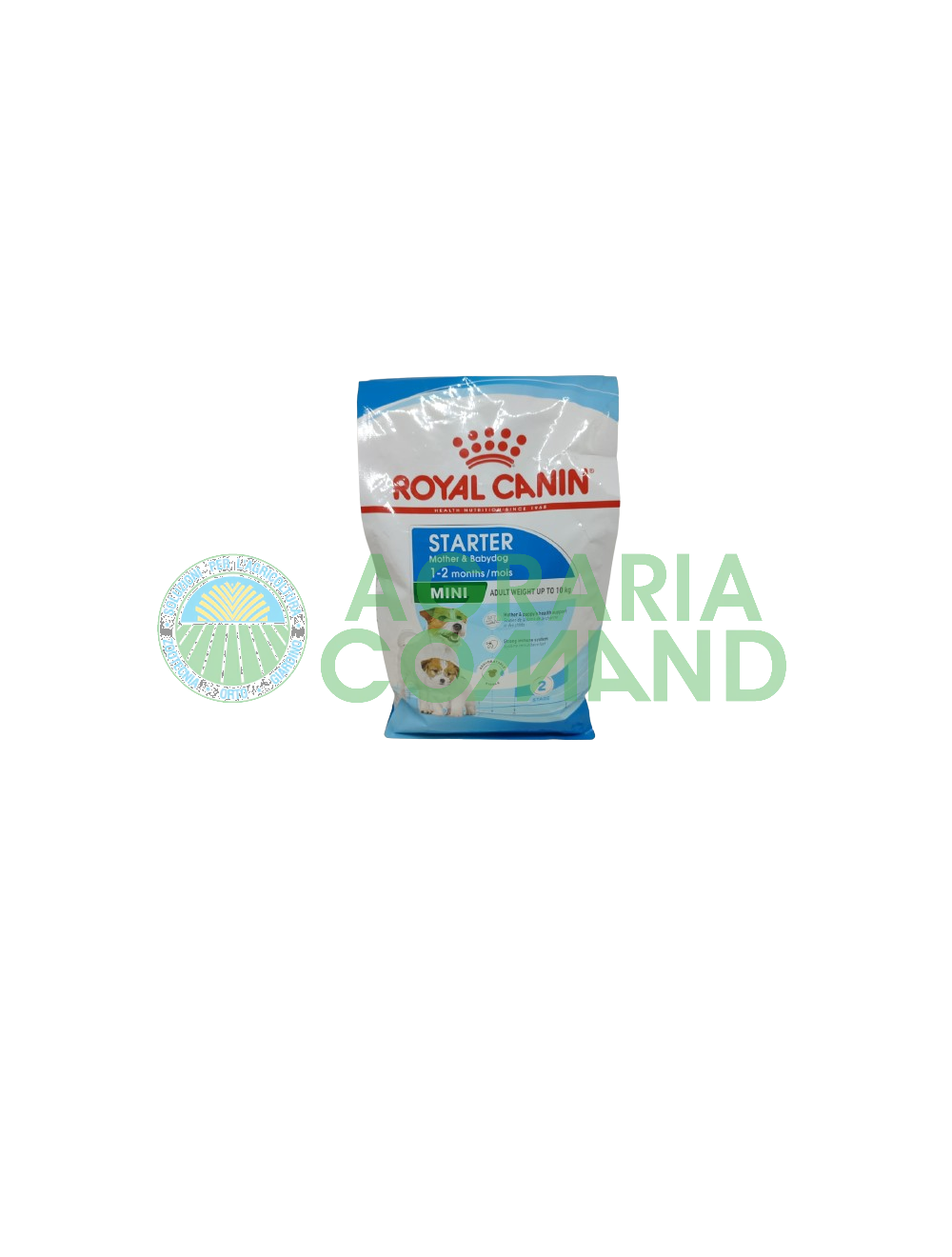 Starter MINI Mother and Baby Dog Starter MINI Mother and Baby Dog