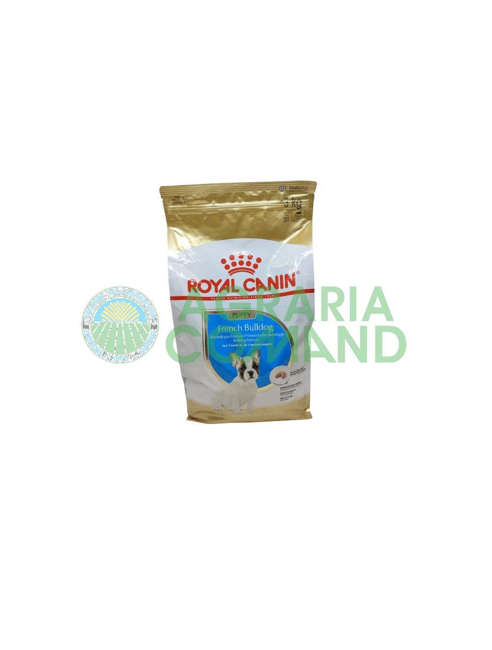 French Bulldog Puppy 3 kg French Bulldog Puppy 3 kg