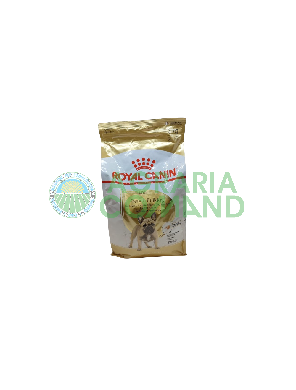 French Bulldog > 12 mesi French Bulldog > 12 mesi