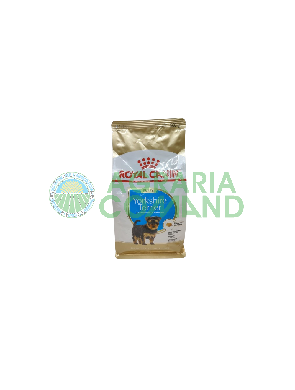 Yorkshire Terrier cucciolo 500gr Yorkshire Terrier cucciolo 500gr