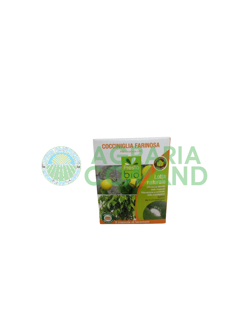 Capsule feromone contro cocciniglia farinosa Capsule feromone contro cocciniglia farinosa
