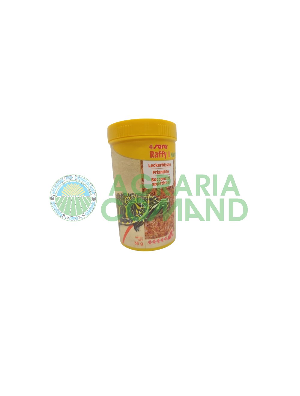 Raffy I sera 36 gr