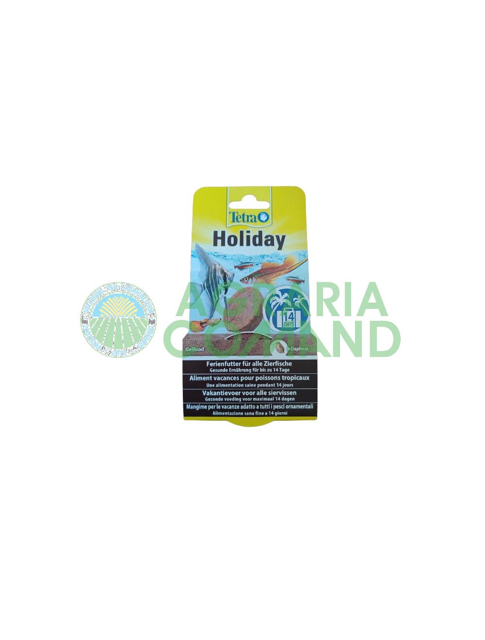 Tetra Holiday acquario