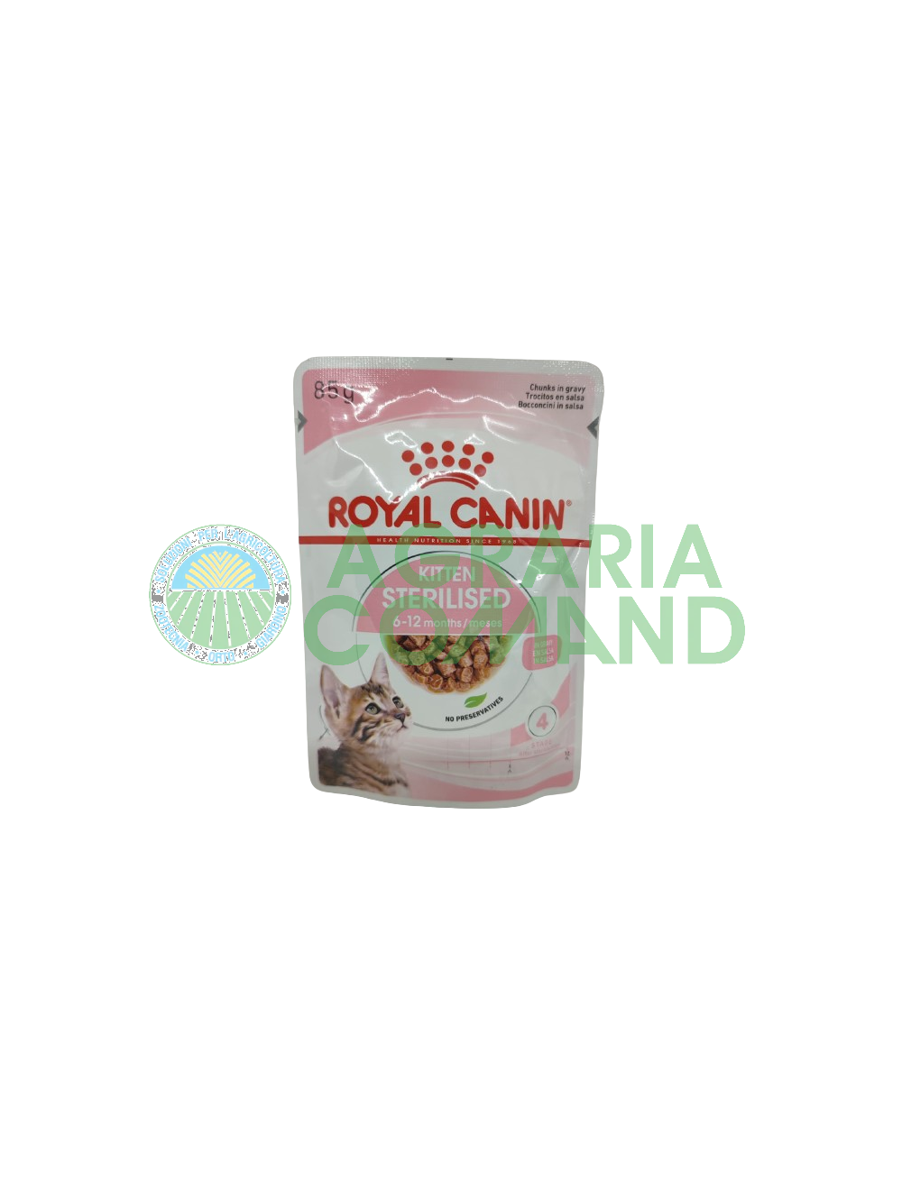 kitten sterilised bocconcini gatto