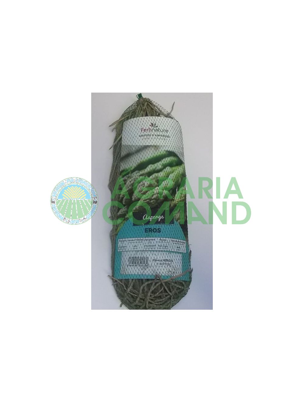 Asparago Eros Asparago Eros