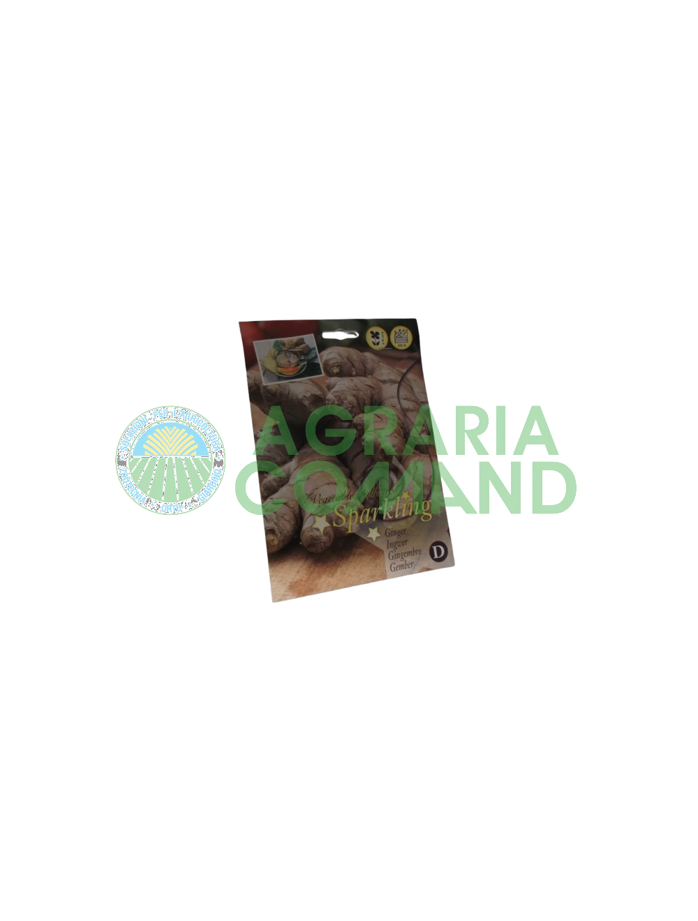 Zenzero radice da seme