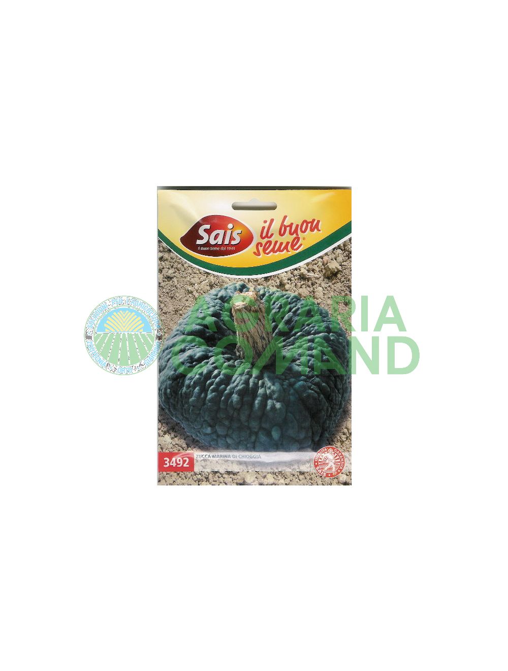 Zucca marina di chioggia Zucca marina di chioggia