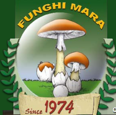 Funghi Mara