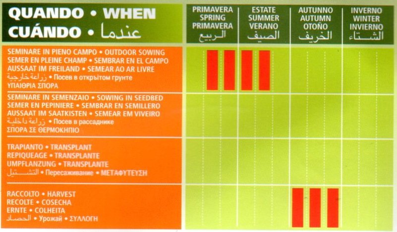 calendario semina