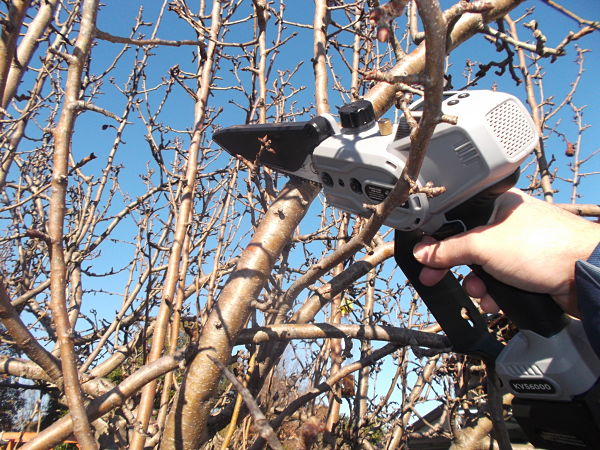 potatura con motosega kvs6000 volpi