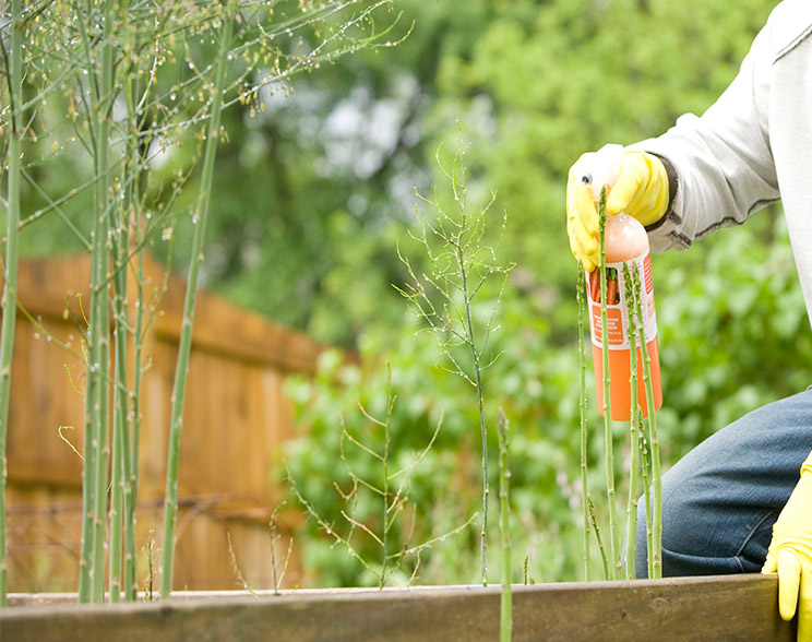Concimi e fertilizzanti