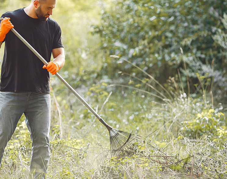 Retour aux outils de sauvegarde