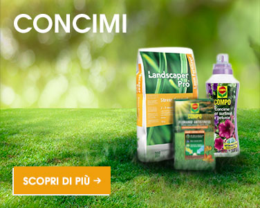 concimi per prato