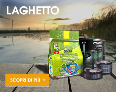 prodotti laghetto