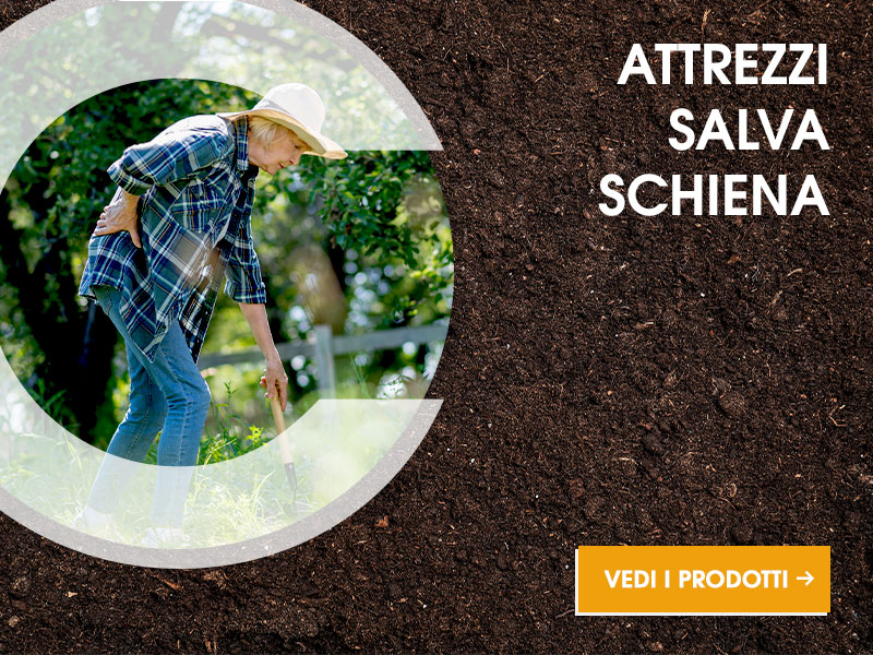 prodotti salva schiena