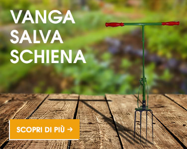 vanga salva schiena